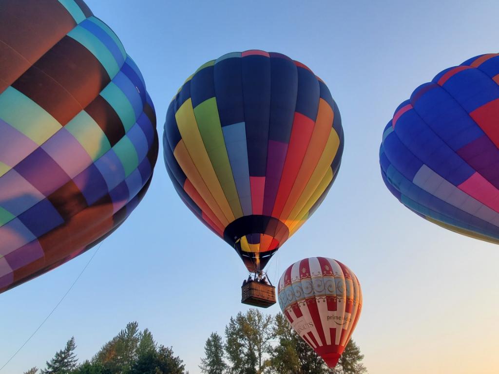 Hot Air Balloon for Sale: Check Out Affordable Options and How to Get Started with Ballooning!